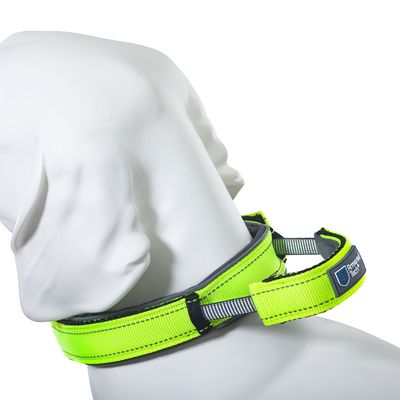 ArmoredTech Dog Control Halsband, neon grün