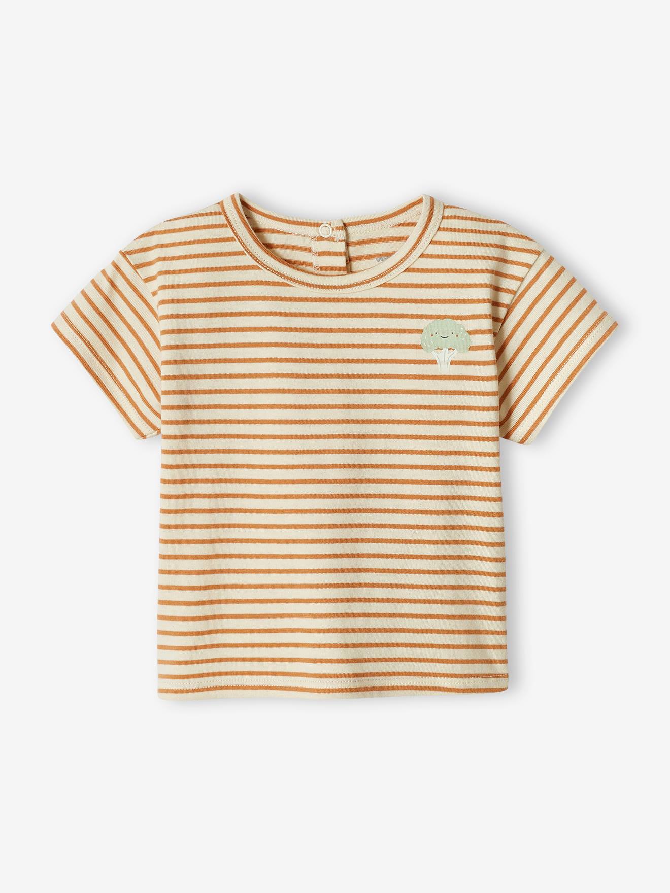 Lot de 2 Tee-shirts bébé manches courtes bleu glacier