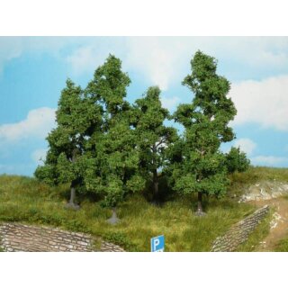 Obstbäume 5-8 cm (5 Stk.)