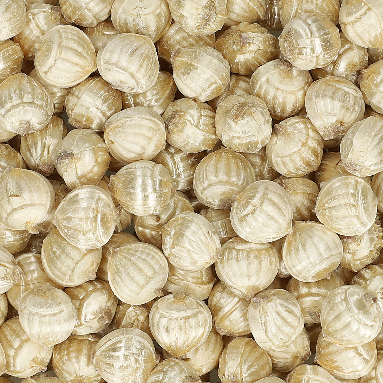 Küfa Goldnüsse 1,5kg