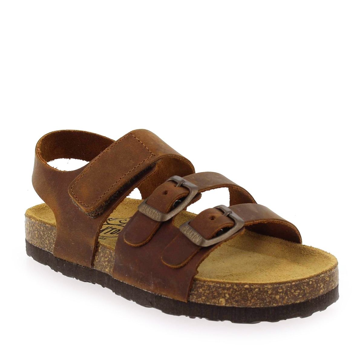 Plakton  PYTON - Marron