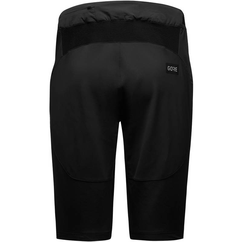 GOREWEAR Fernflow Fahrradshorts Herren