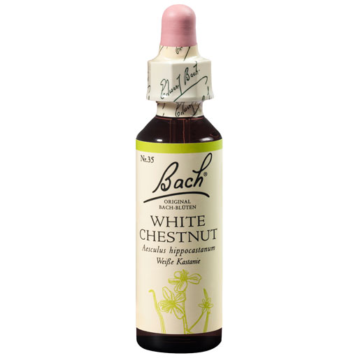 BACHBLÜTEN White Chestnut Tropfen  20 ml  Tropfen