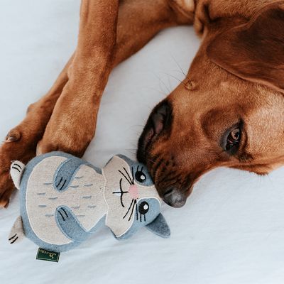 HUNTER Hundespielzeug Fyn Hamster