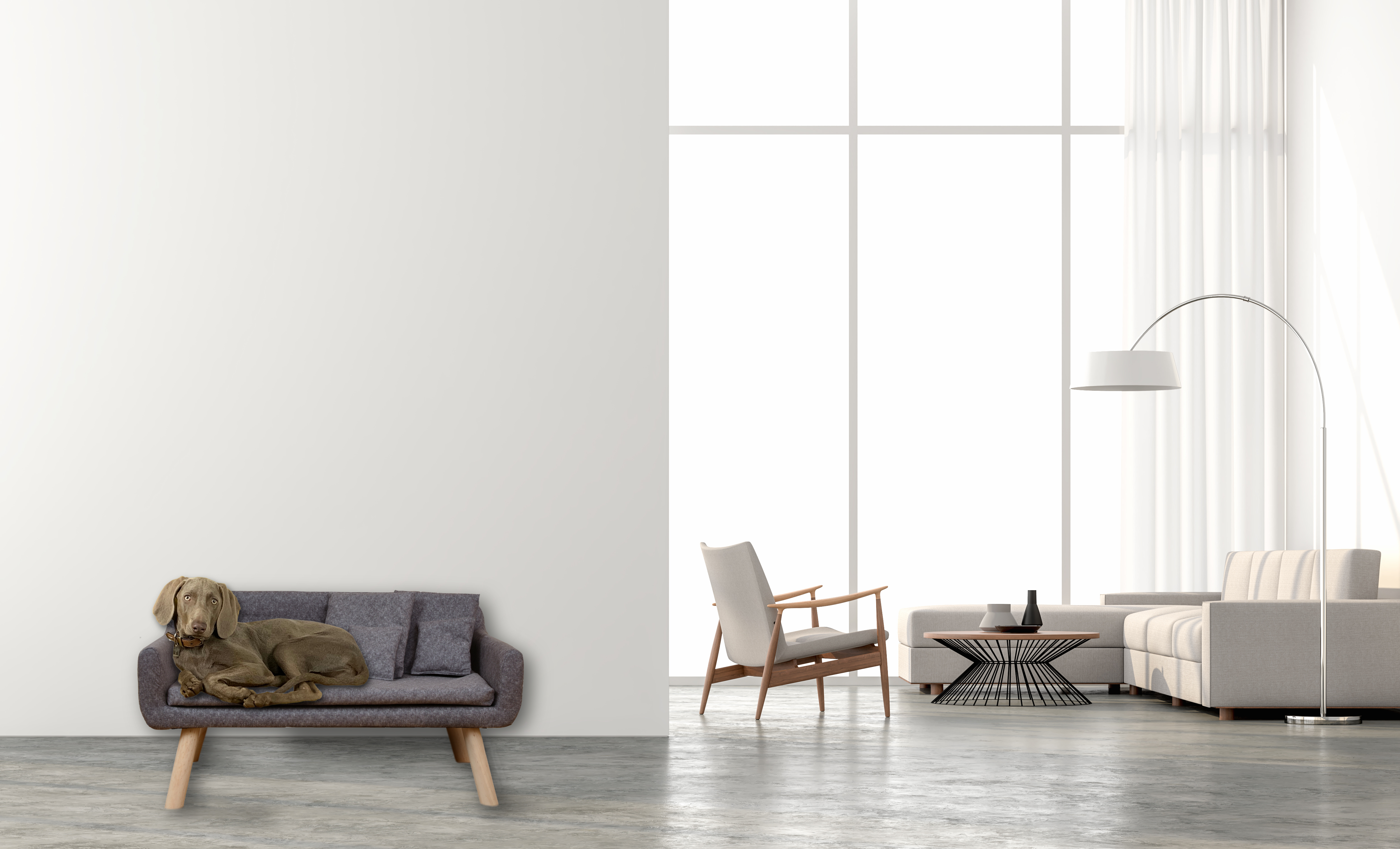 Rohrschneider Hundesofas Rohrschneider Hundesofa Chicago mit Gratis-Beigabe grau/ grau