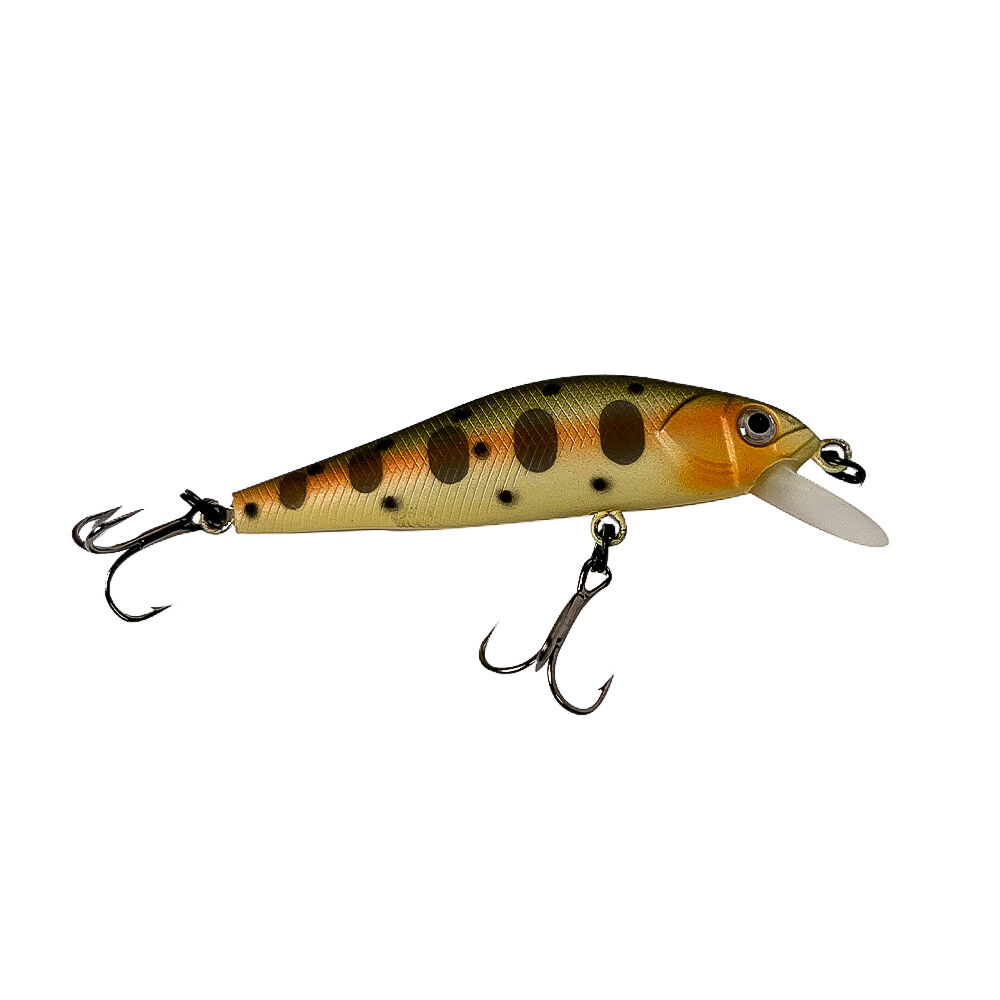 schwimmende Forellenfische + Gratis-Box