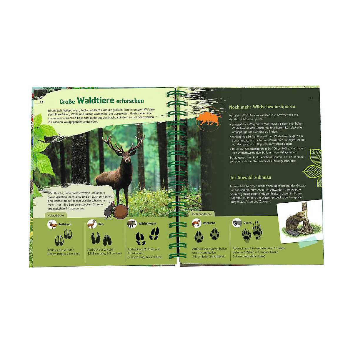 Expedition Natur: Das Wald-Forscherbuch