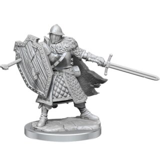 D&D Frameworks: Human Fighter Male