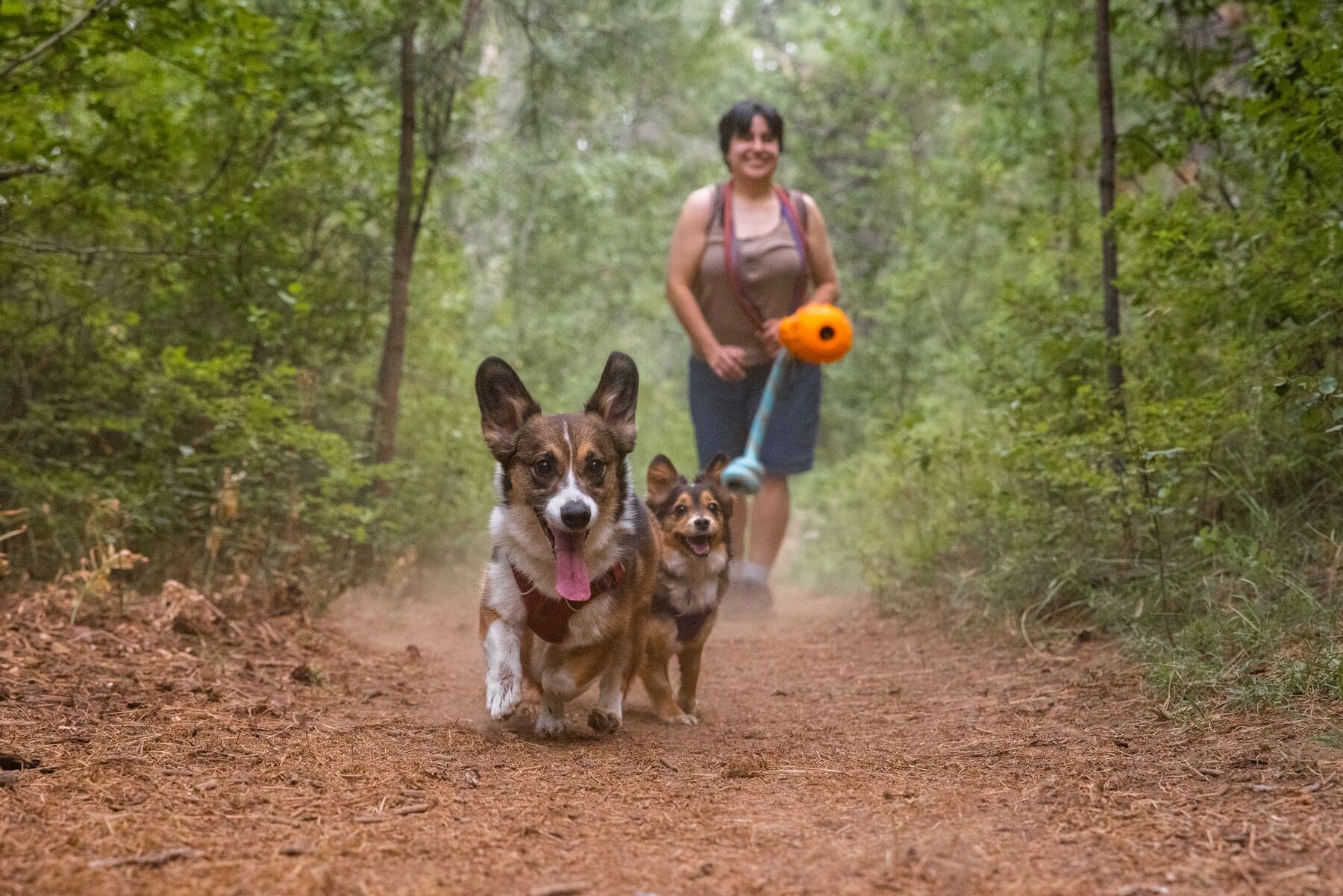 Ruffwear Frisbees & Wurfspielzeug Ruffwear Gourdo™ Spielzeug L orange