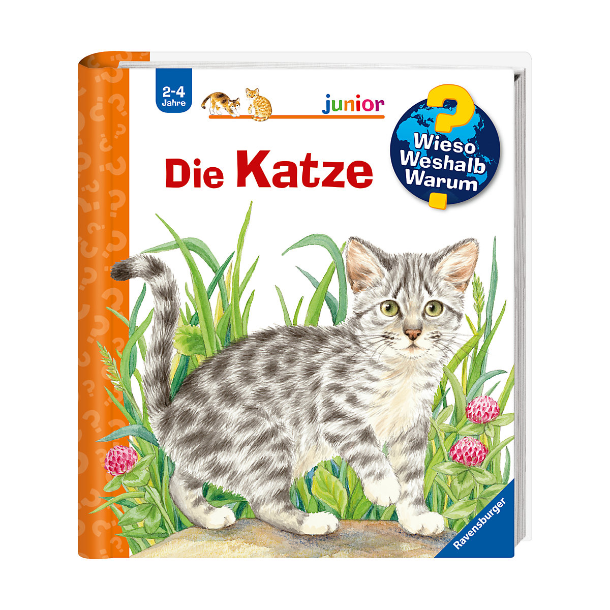 WWW junior Die Katze