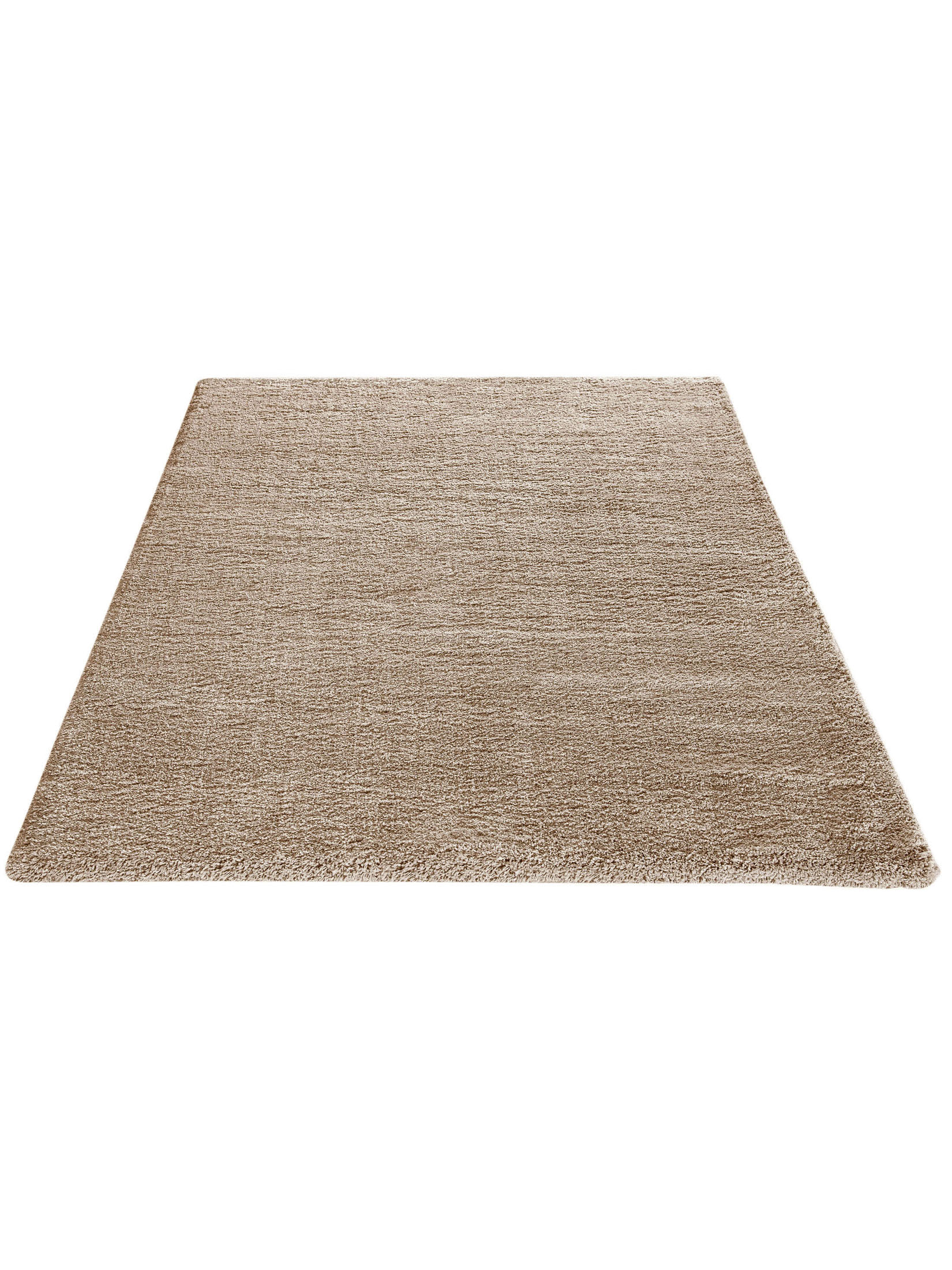 Lounge Hochflor-Teppich, Beige