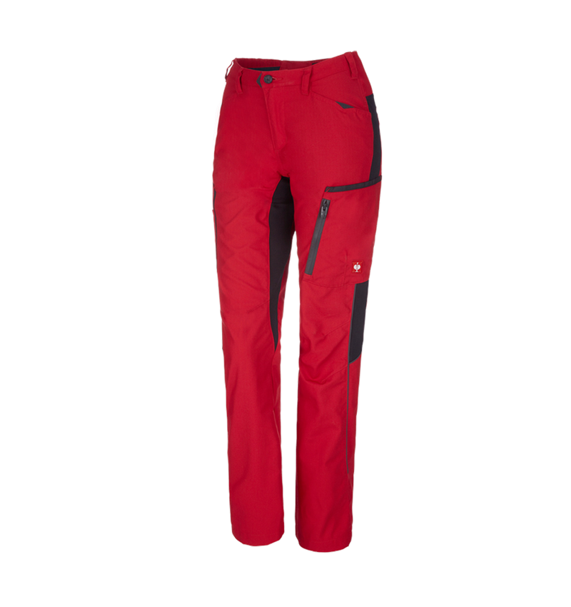 Damenhose e.s.vision