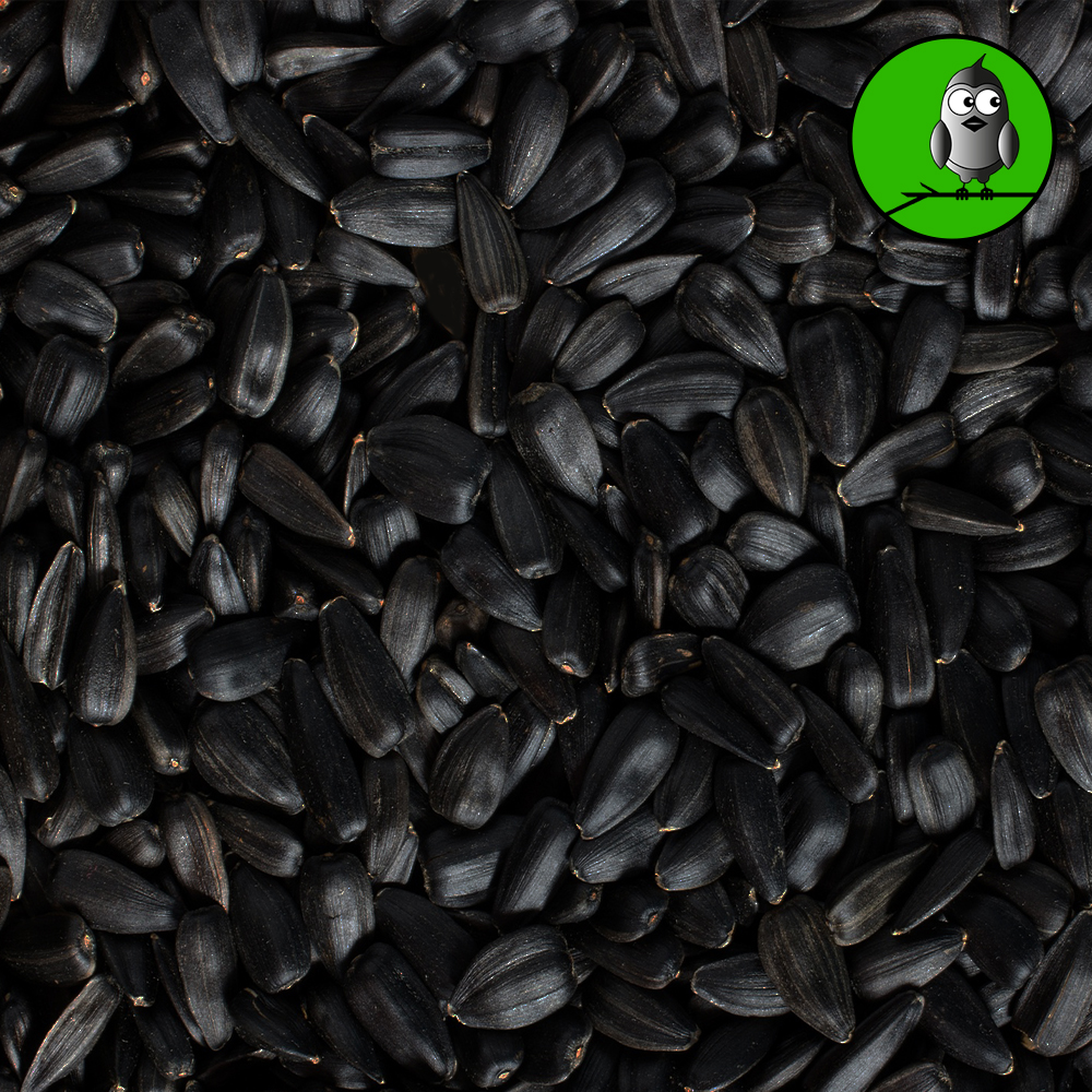 Good Cobs Sonnenblumenkerne, schwarz 20 KG