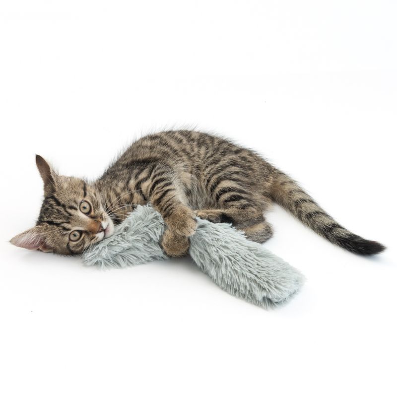 Modern Living Katzenspielkissen Berna mit Katzenminze | bitiba %