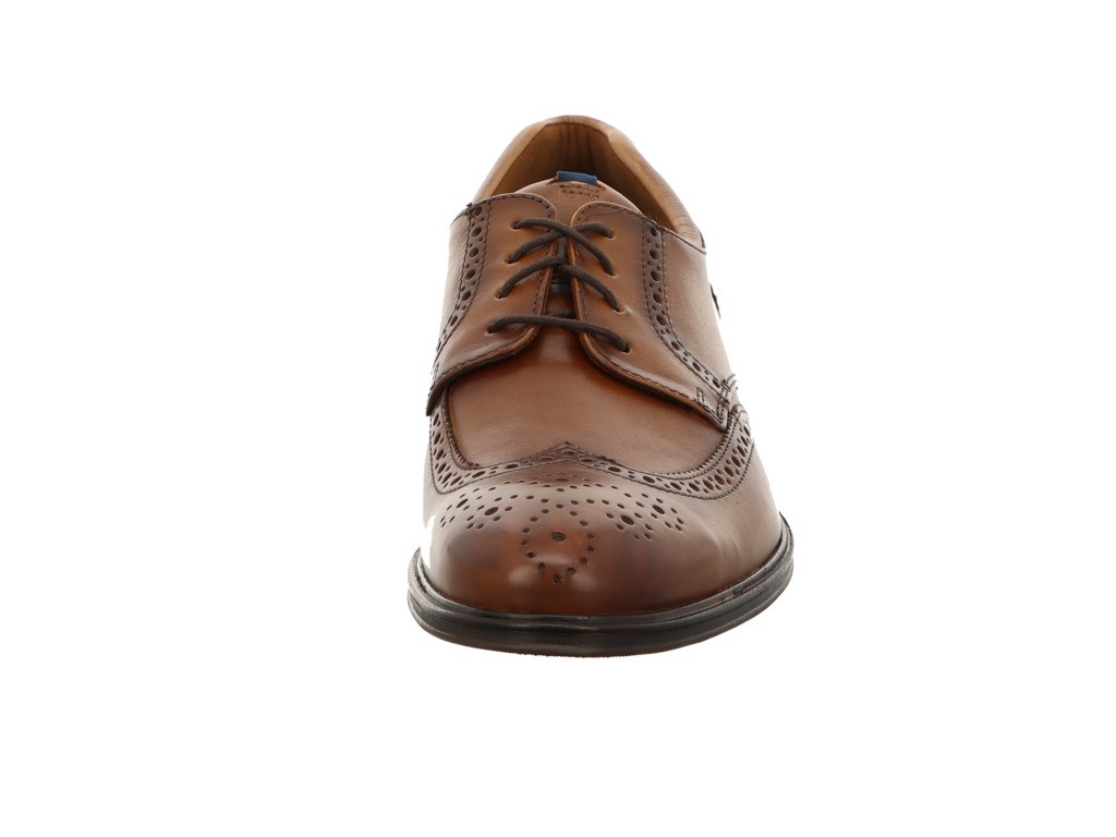 LLOYD Business Schuhe braun MARIAN