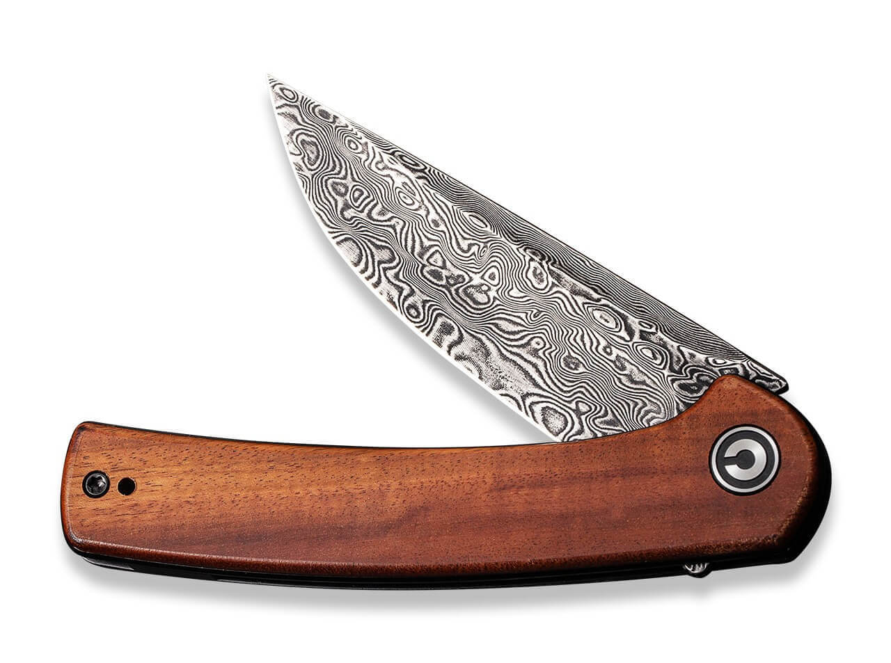 Mini Asticus Cuibourtia Damascus