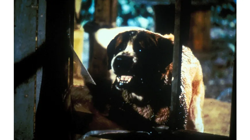 Stephen King's Cujo - Director's Cut