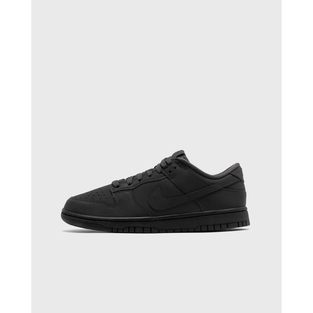 Nike WMNS Dunk Low FZ3781-060 / grau