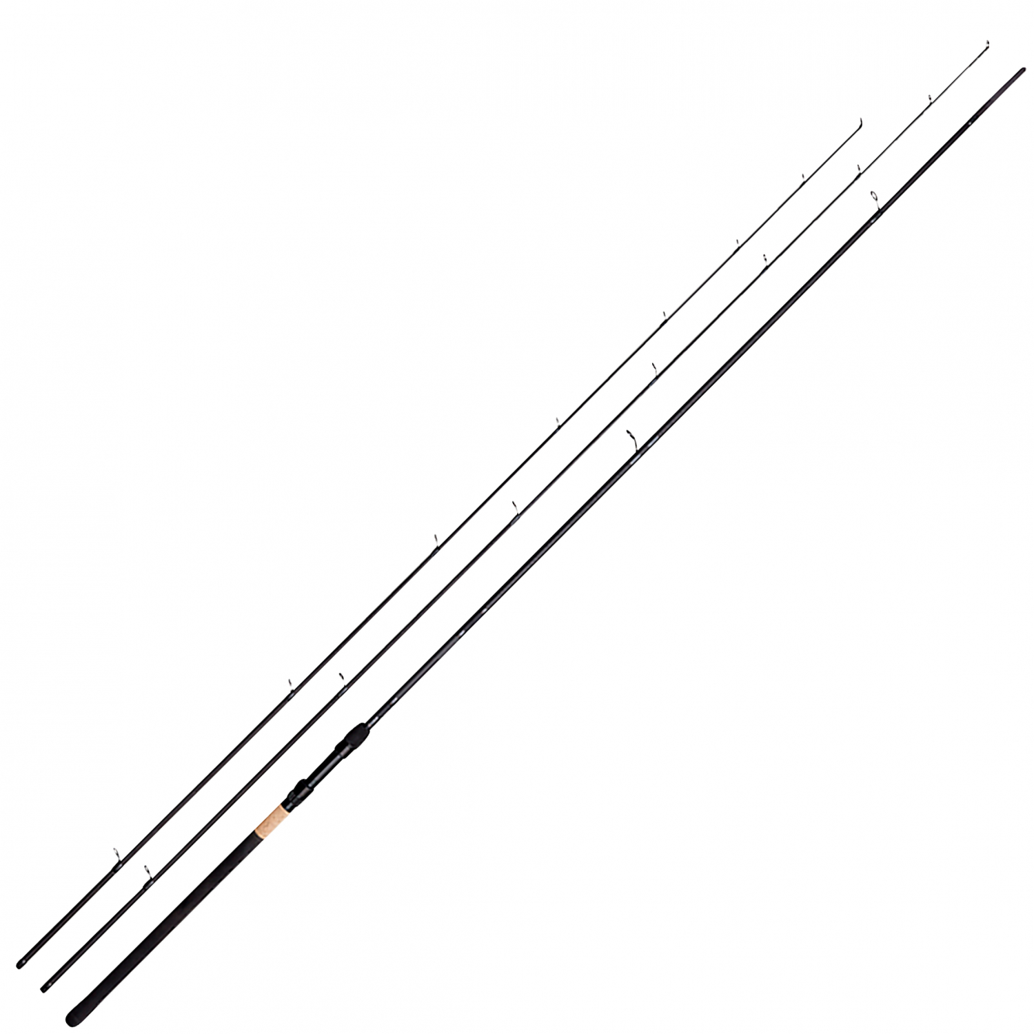 Detek Karpfenrute MP Twin-Tip