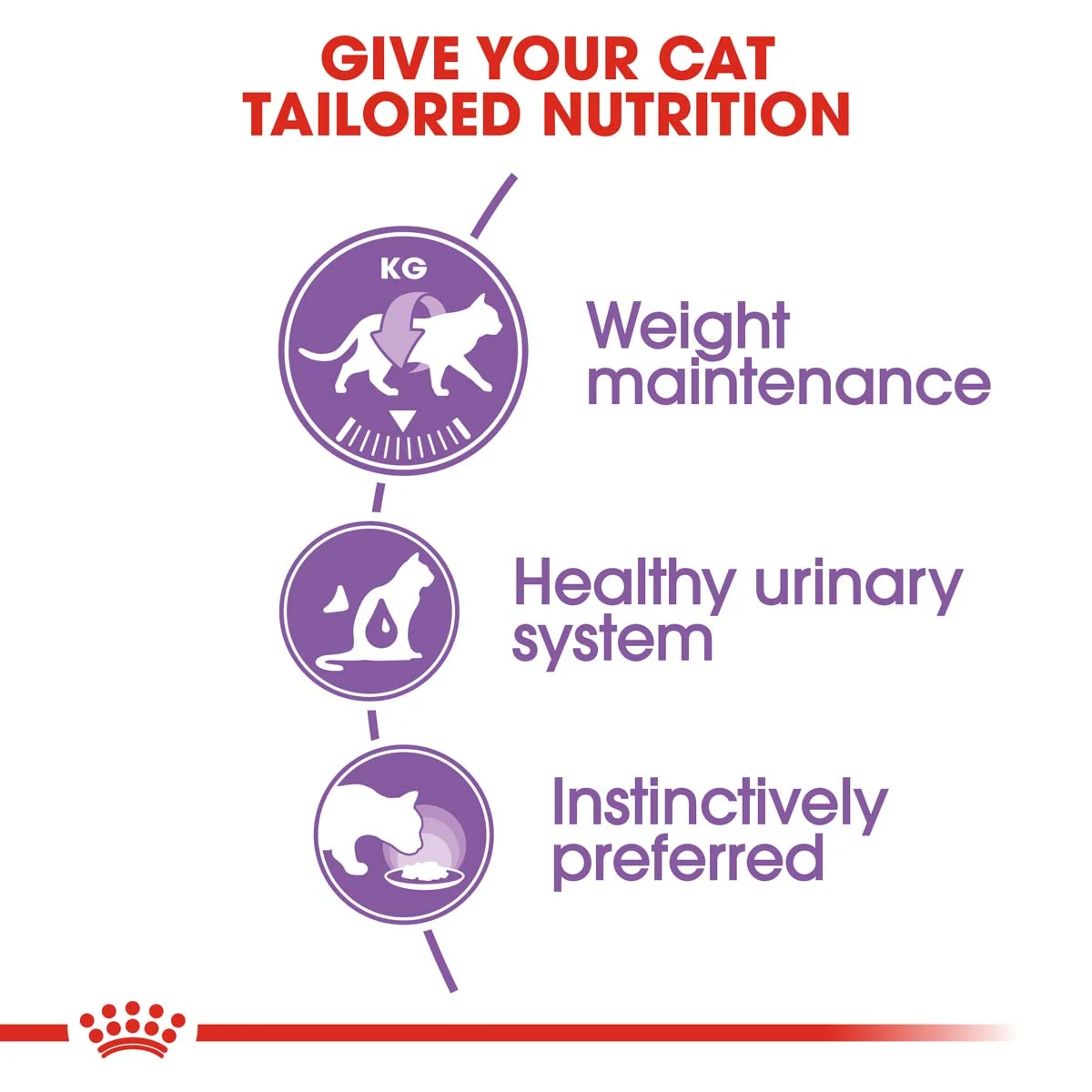 ROYAL CANIN STERILISED Nassfutter in Gelee für kastrierte Katzen
