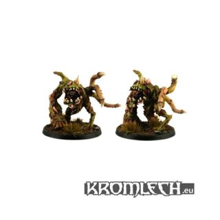 Morbid Spawn