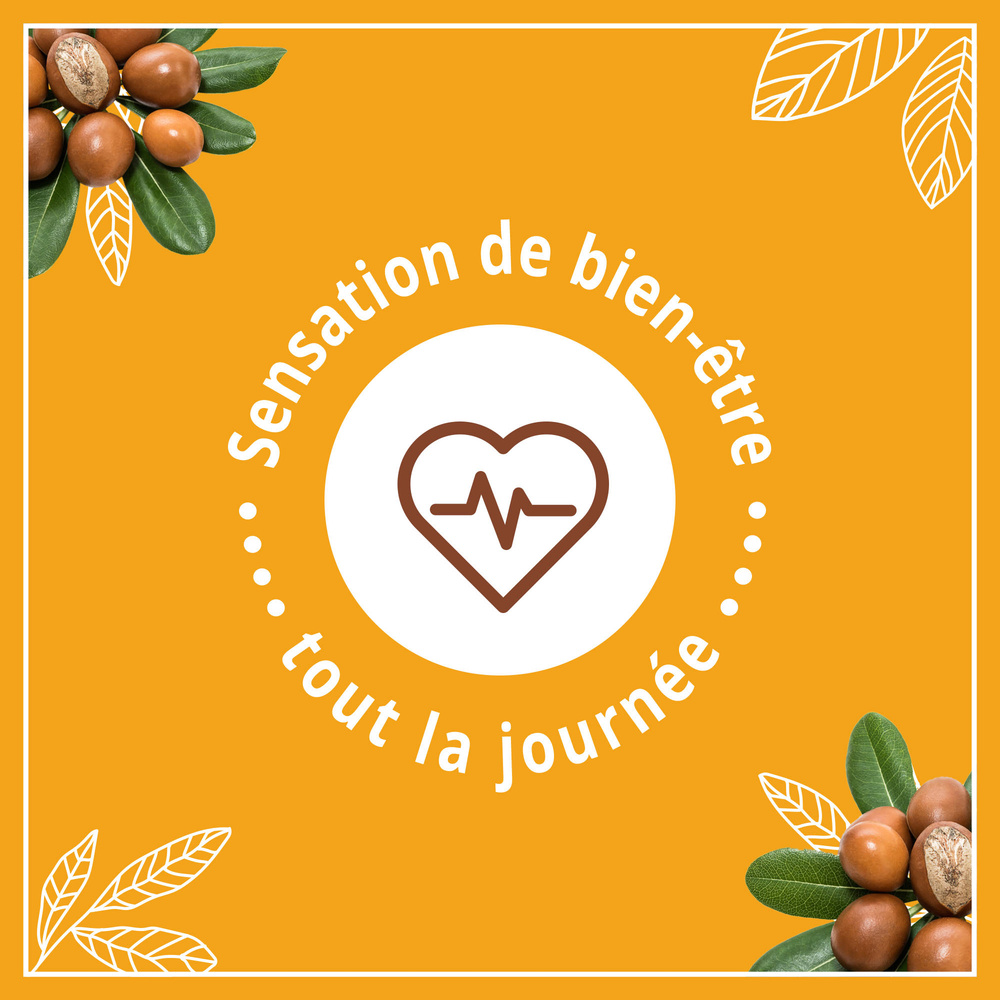 le petit marseillais Lait Corps Hydratant, Beurre de Karité,Amande et Huile d'Argan, 250ml Lait corps