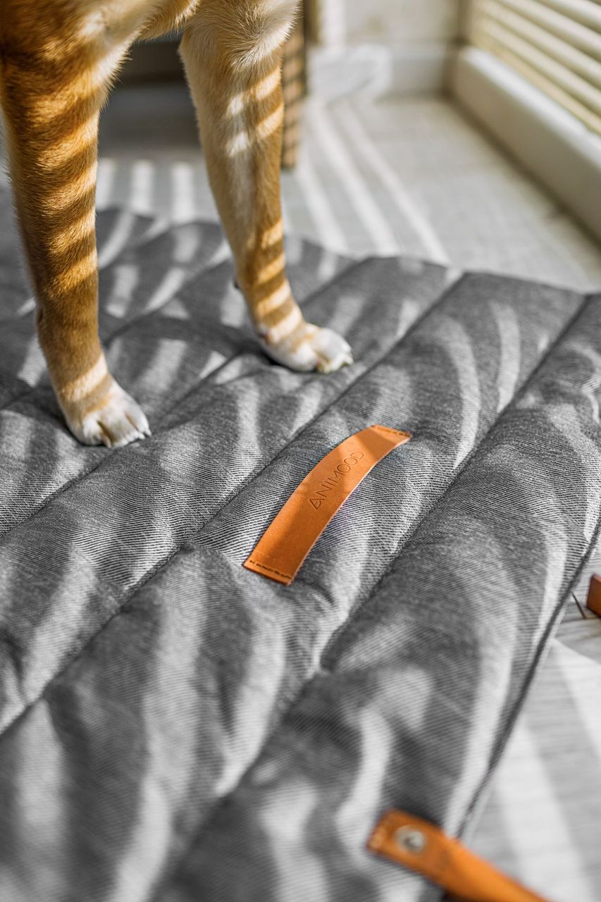 Animood Hunde-Rollmatte Luna Hundeteppich universal grau