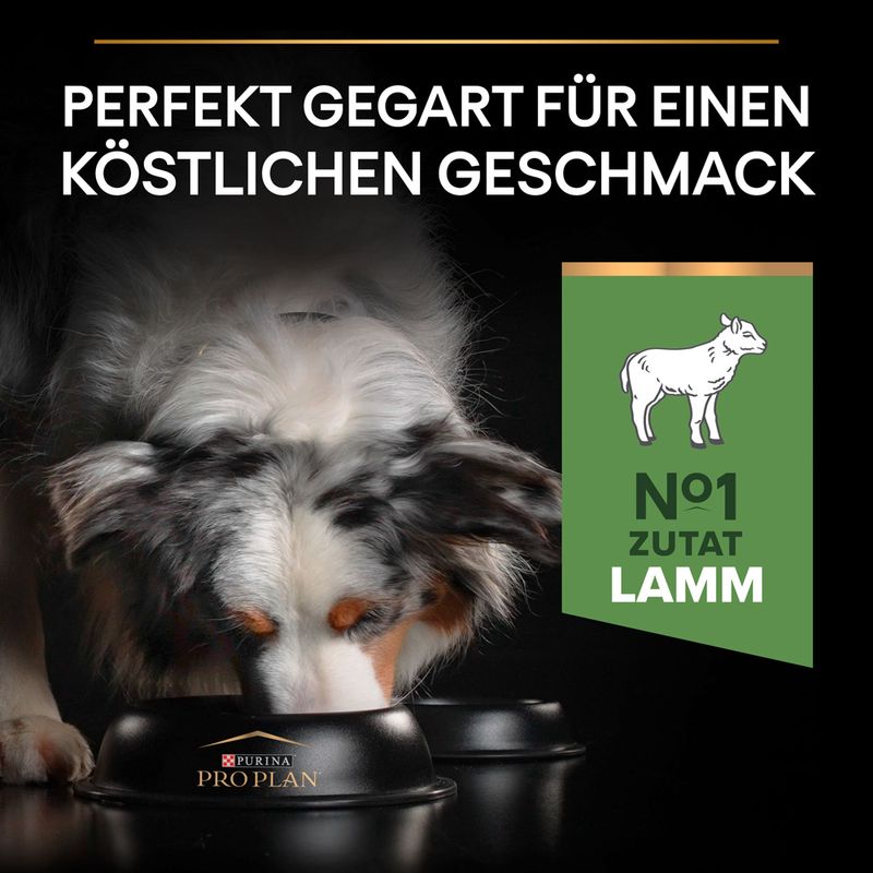 PURINA PRO PLAN Medium Adult Lamm & Reis Sensitive Digestion