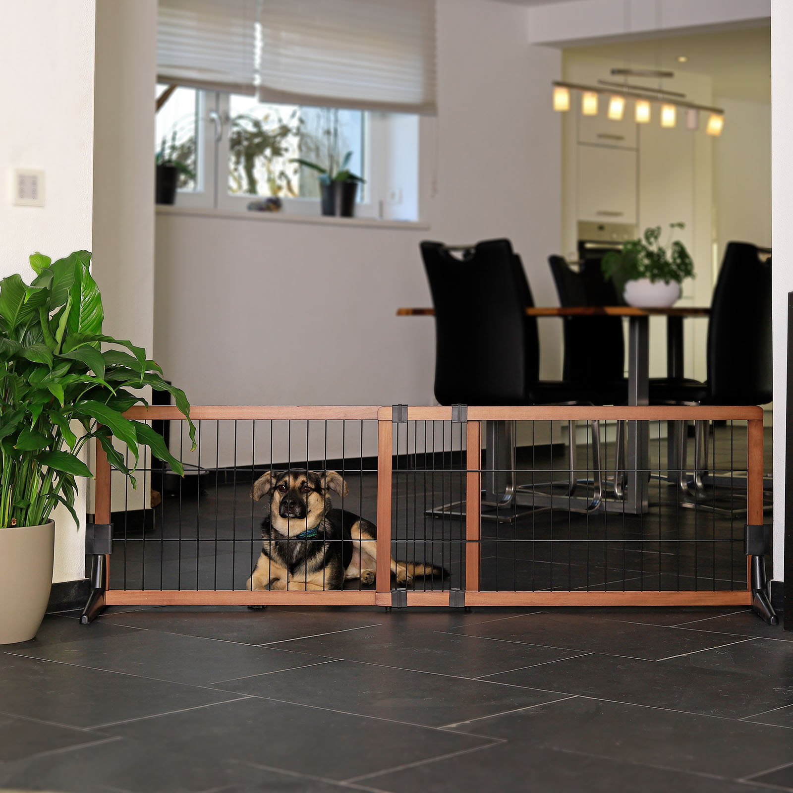 Lionto Türschutzgitter & Hundeklappen Lionto Absperrgitter, Hundeschutzgitter