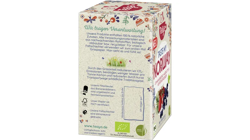 Teaya Bio-Früchtetee Taste my Norway 34 g