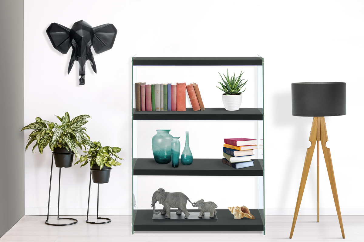 Kayoom Regal Elementary 225 Schwarz