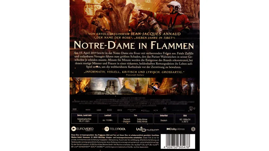 Notre-Dame in Flammen