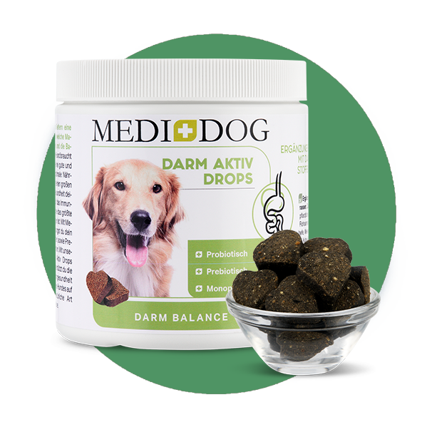 MediDog Ergänzungsfutter & Aufzucht MediDog Darm Aktiv Drops