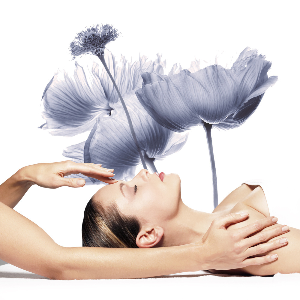 DR Renaud PRESCRIPTION VEGETALE - EXPERT HYDRATANT PRO-JEUNESSE Soin Visage Hydratation DR Renaud 1h