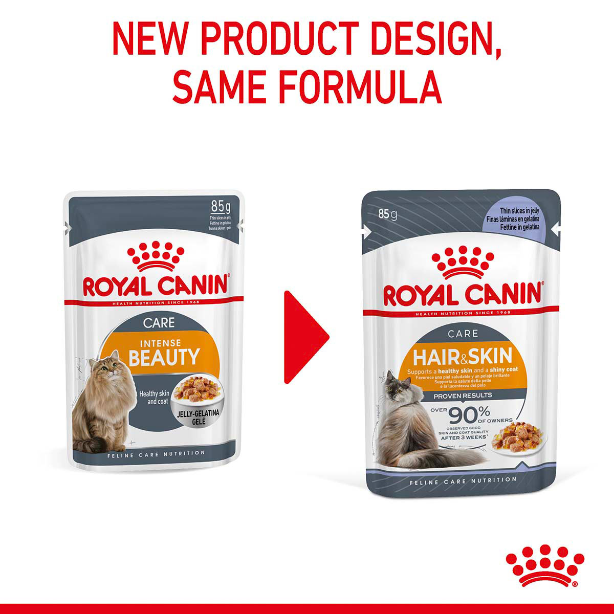 Royal Canin FCN Hair & Skin Jelly günstig kaufen