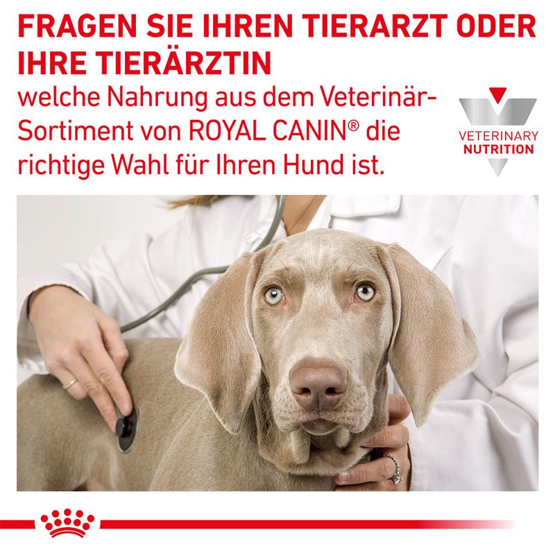 Royal Canin Veterinary Canine Gastrointestinal Puppy Mousse