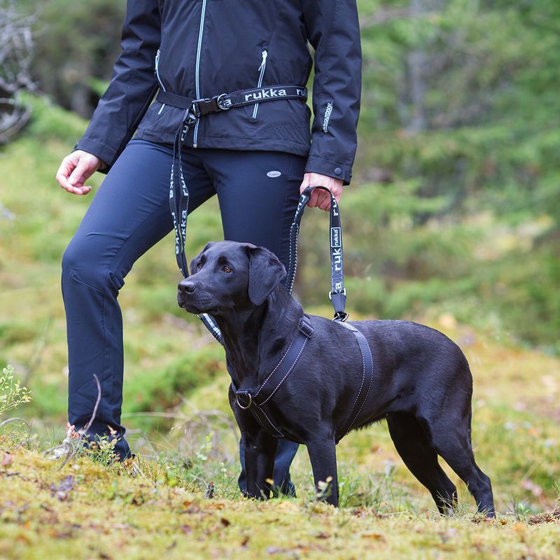 Rukka Wander-Trainingsleine zu TOP-Preisen