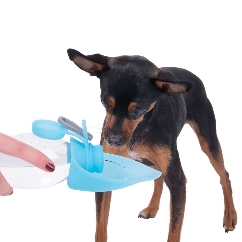 Smartpet Trinkflasche für unterwegs zu TOP-Preisen % bei bitiba.de