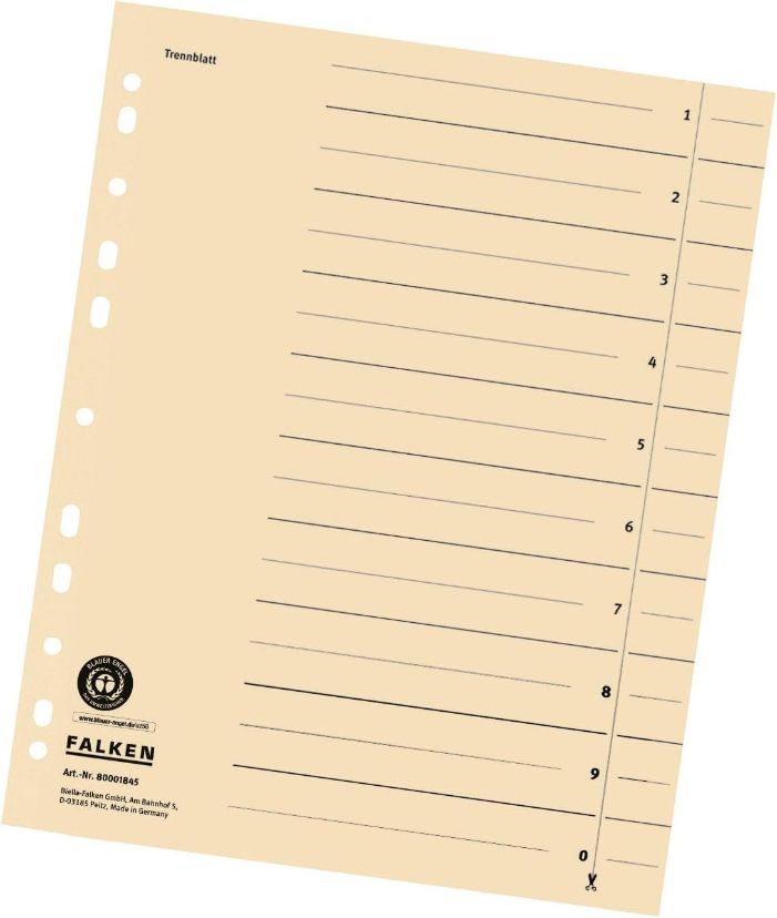 HP Falken 5x100 Trennblätter 80001845 DIN-A4, 24x30cm, lochverstärkt, 180g/m² Karton, chamois