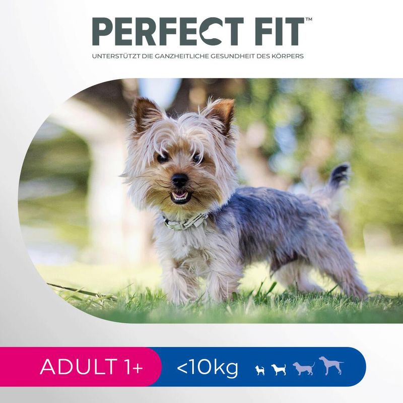 Perfect Fit Adult Small Dogs (<10kg)