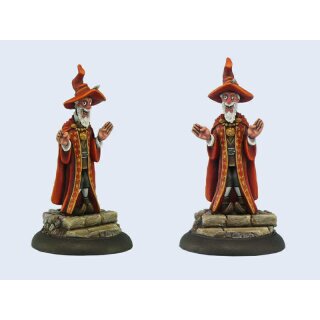 Discworld Bursar (1)