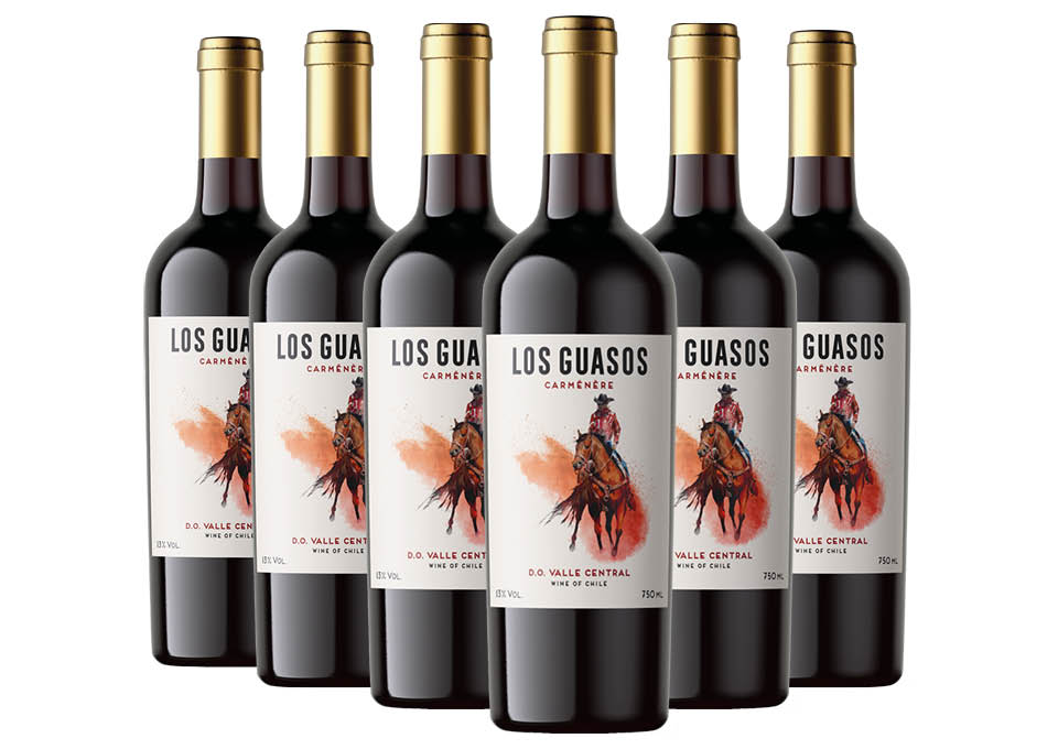 Valle Central DO Carménère 2022 Los Guasos 6 bouteilles de 0,75 ℓ