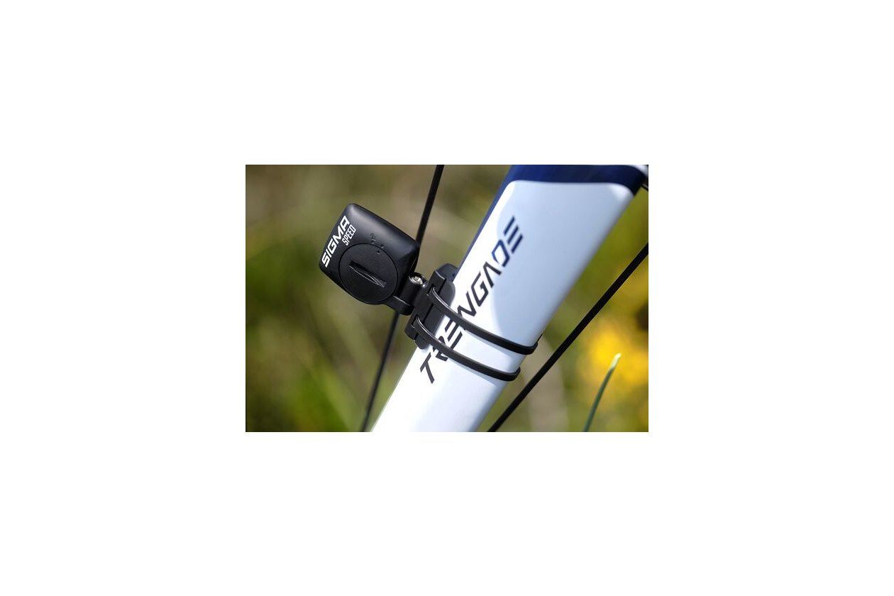 Sigma BC 14.0 WL STS CAD