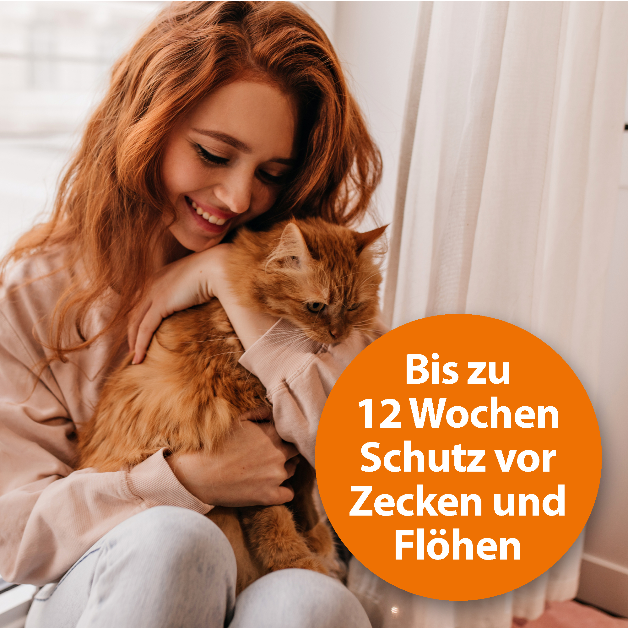 Ardap Ungeziefer- & Zeckenschutz Ardap Spot-On für Katzen S