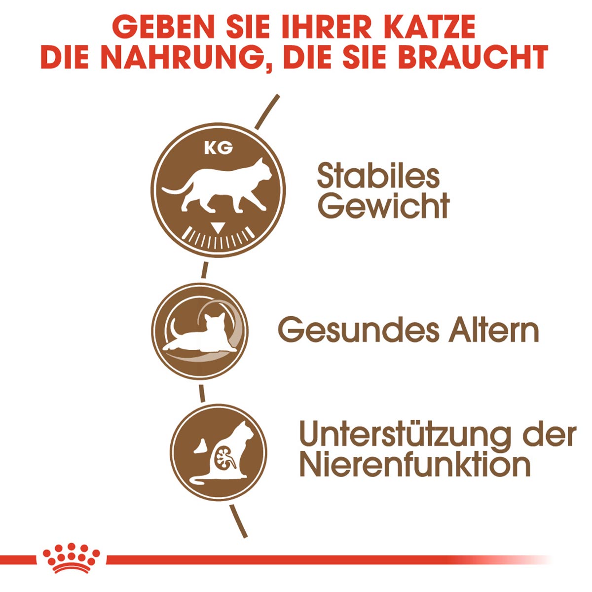 ROYAL CANIN AGEING 12+ Sterilised Trockenfutter für ältere kastrierte Katzen 4kg