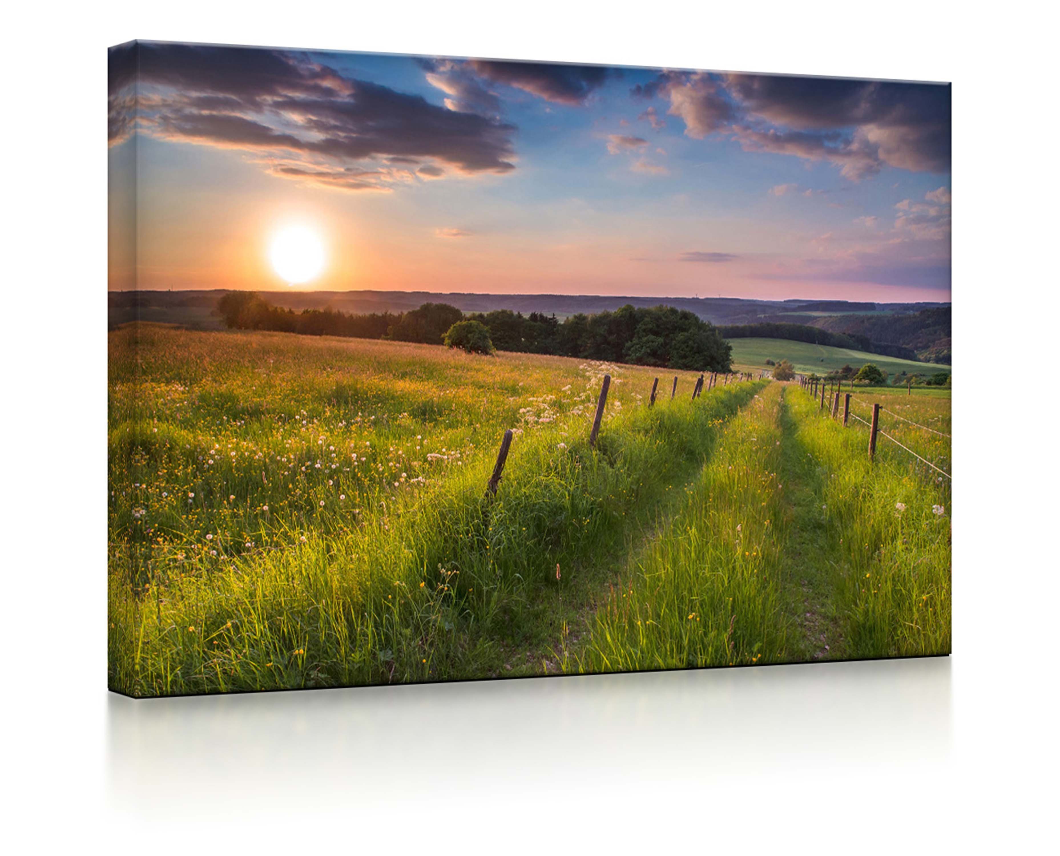 lightbox-multicolor LED-Bild Wunderschöne Bergwiese im Sonnenaufgang front lighted / 60x40cm, Leuchtbild mit Fernbedienung