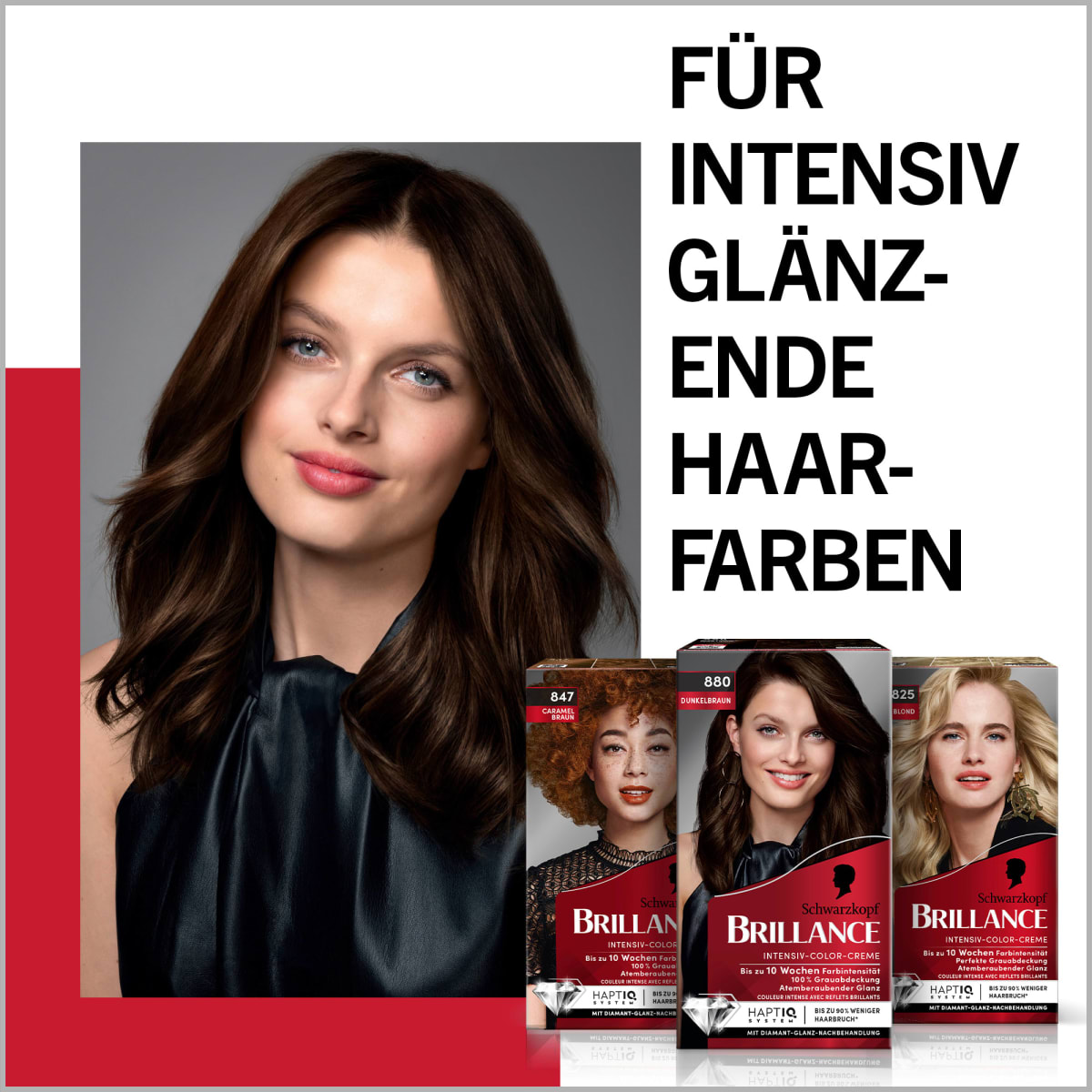 Haarfarbe 880 Dunkelbraun, 1 St