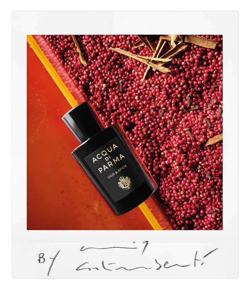 Acqua di Parma Signature of the Sun Oud & Spice Eau de Parfum Nat. Spray