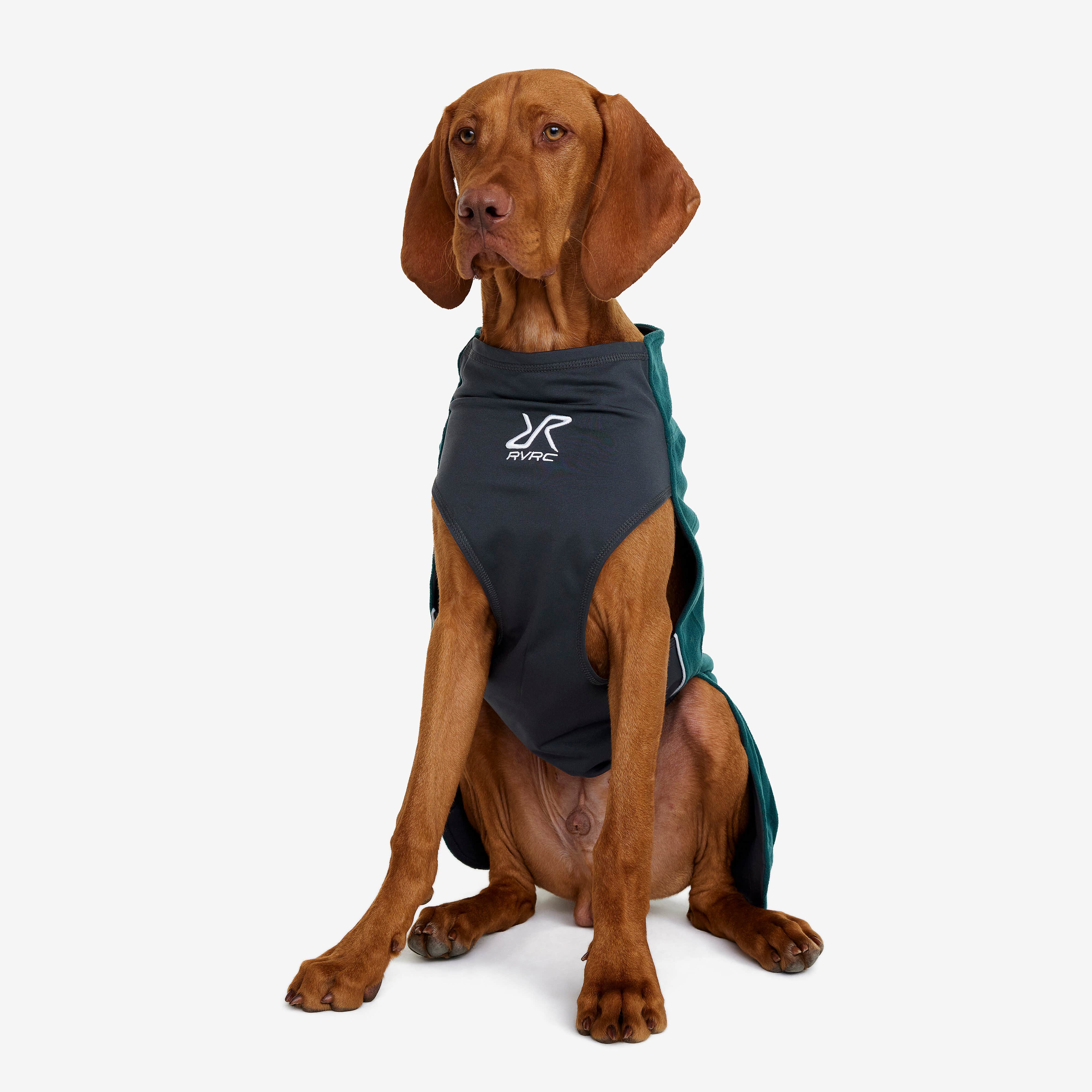 Trekker Fleece Chien Teal