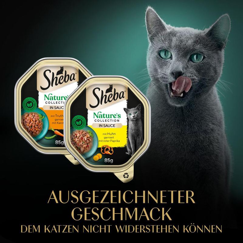 Sheba Nature's Collection in Sauce 32 x 85 g